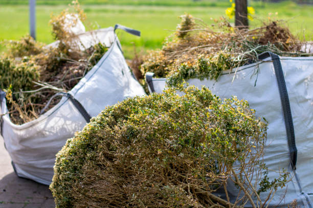 Best Basement Cleanout Services  in Auburn, CA